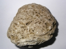 Abgerollter Stromatolithen-Rest