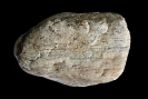Mobergella-Sandstein mit Aufarbeitungshorizont