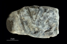 Spurenfossil Conichnus sp.