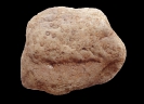 Spurenfossil Scolithos linearis (Haldeman, 1840)