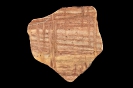 Spurenfossil Scolithos linearis (Haldeman, 1840)