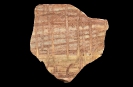 Spurenfossil Scolithos linearis (Haldeman, 1840)