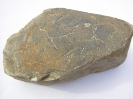 Spurenfossil Biolaminite (540 Mill.Jahre)