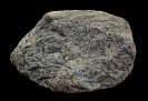 Amphibol-porphyroblastischer Gneis