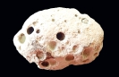 baltischer Kalkstein mit Bohrmuschelkanälen;