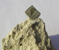 Silur-Kalk mit Pyrit-Kristall