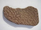 Sandsteinplatte mit Oszillationsrippel 