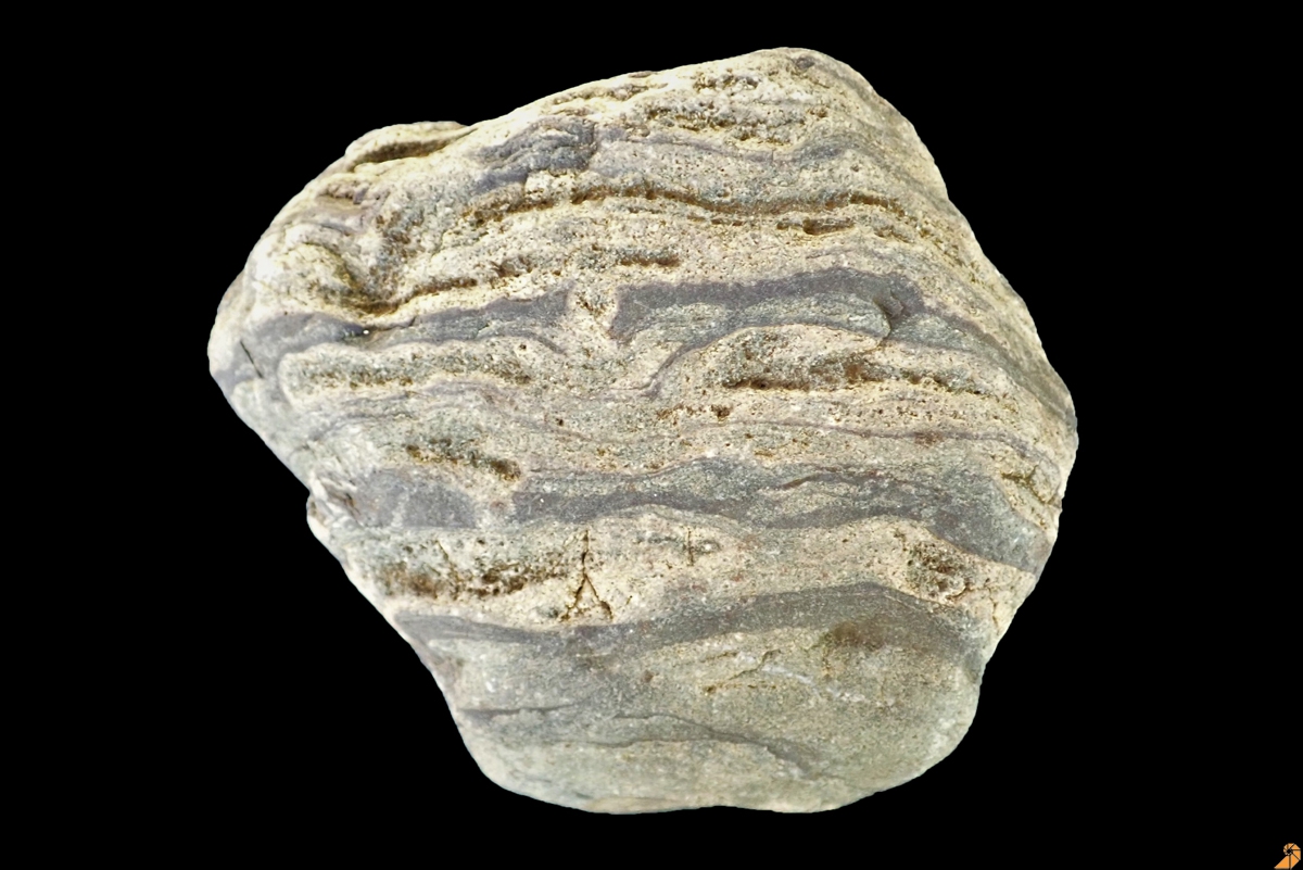 Stromatolith