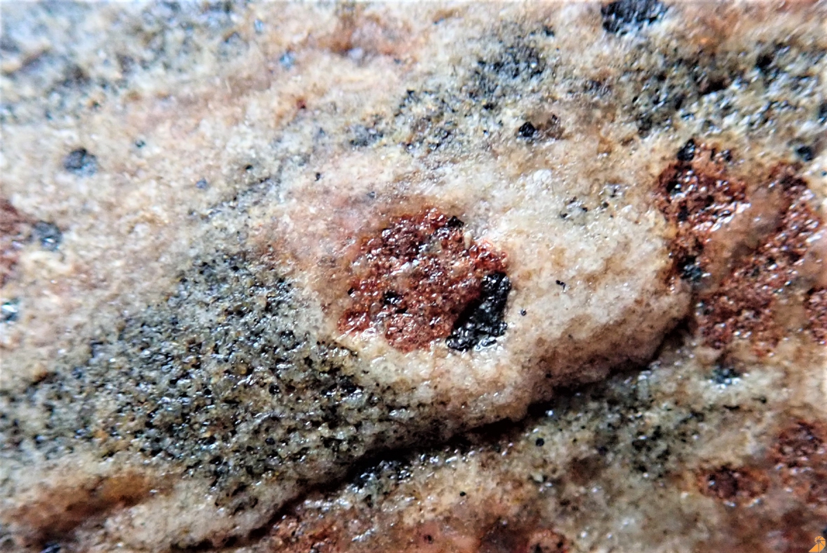 Granat-Fleckengneis (Paragneis) 