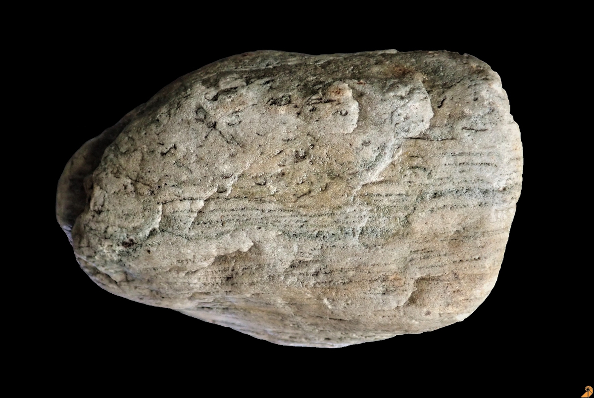 Mobergella-Sandstein mit Aufarbeitungshorizont